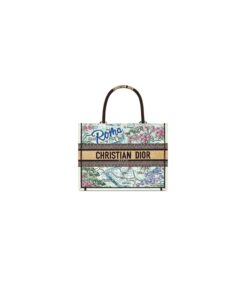 Dior Souvenir Medium Dior Book Tote